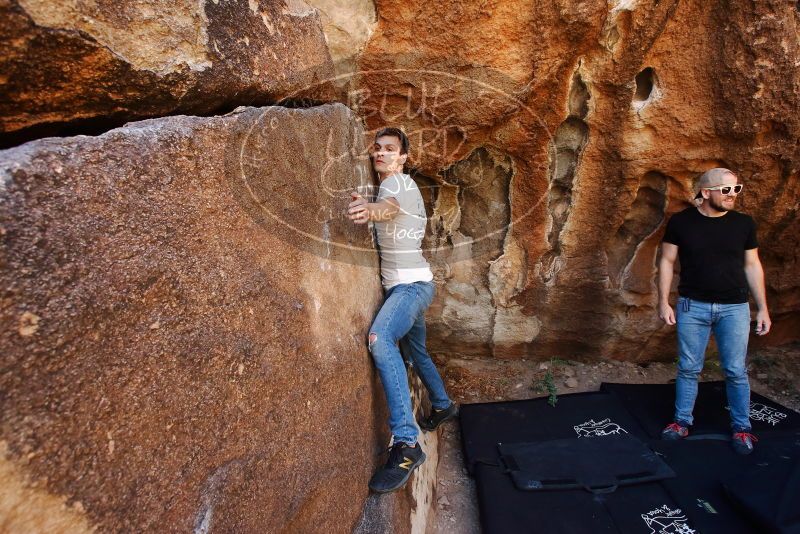 

Filename: SRM_20191110_1239090.jpg
Aperture: f/5.6
Shutter Speed: 1/250
Body: Canon EOS-1D Mark II
Lens: Canon EF 16-35mm f/2.8 L