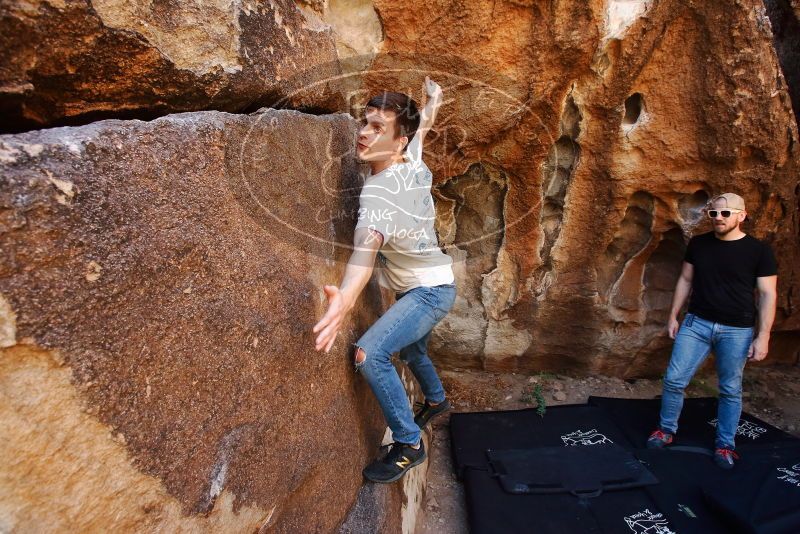 

Filename: SRM_20191110_1239140.jpg
Aperture: f/5.6
Shutter Speed: 1/250
Body: Canon EOS-1D Mark II
Lens: Canon EF 16-35mm f/2.8 L