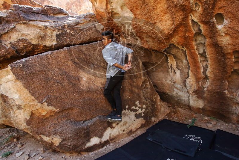 

Filename: SRM_20191110_1250040.jpg
Aperture: f/5.6
Shutter Speed: 1/250
Body: Canon EOS-1D Mark II
Lens: Canon EF 16-35mm f/2.8 L