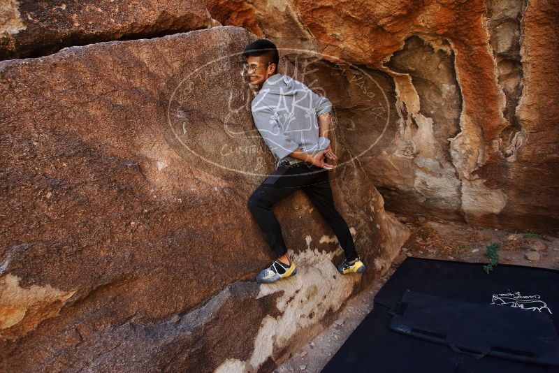 

Filename: SRM_20191110_1251200.jpg
Aperture: f/5.6
Shutter Speed: 1/250
Body: Canon EOS-1D Mark II
Lens: Canon EF 16-35mm f/2.8 L