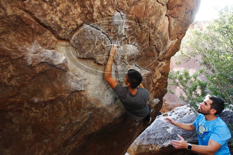 

Filename: SRM_20191110_1310180.jpg
Aperture: f/4.0
Shutter Speed: 1/250
Body: Canon EOS-1D Mark II
Lens: Canon EF 16-35mm f/2.8 L