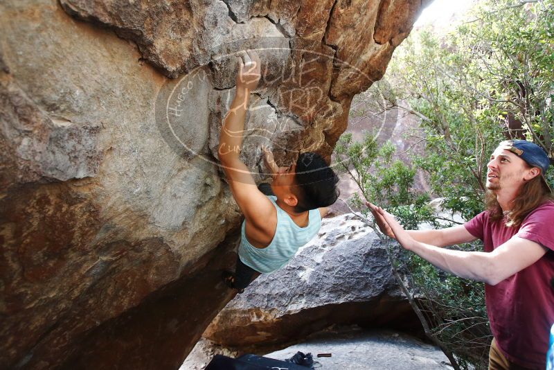 

Filename: SRM_20191110_1316350.jpg
Aperture: f/4.0
Shutter Speed: 1/250
Body: Canon EOS-1D Mark II
Lens: Canon EF 16-35mm f/2.8 L