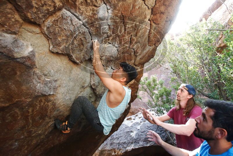 

Filename: SRM_20191110_1316450.jpg
Aperture: f/4.0
Shutter Speed: 1/250
Body: Canon EOS-1D Mark II
Lens: Canon EF 16-35mm f/2.8 L