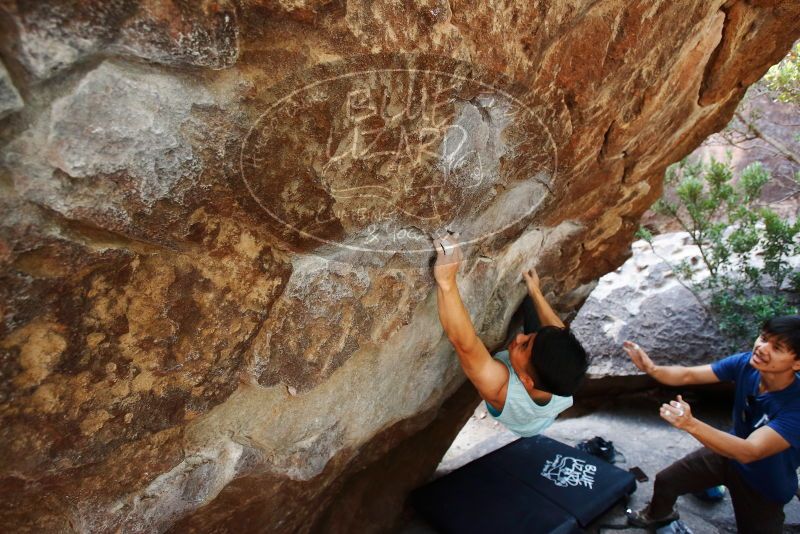 

Filename: SRM_20191110_1341120.jpg
Aperture: f/4.5
Shutter Speed: 1/250
Body: Canon EOS-1D Mark II
Lens: Canon EF 16-35mm f/2.8 L