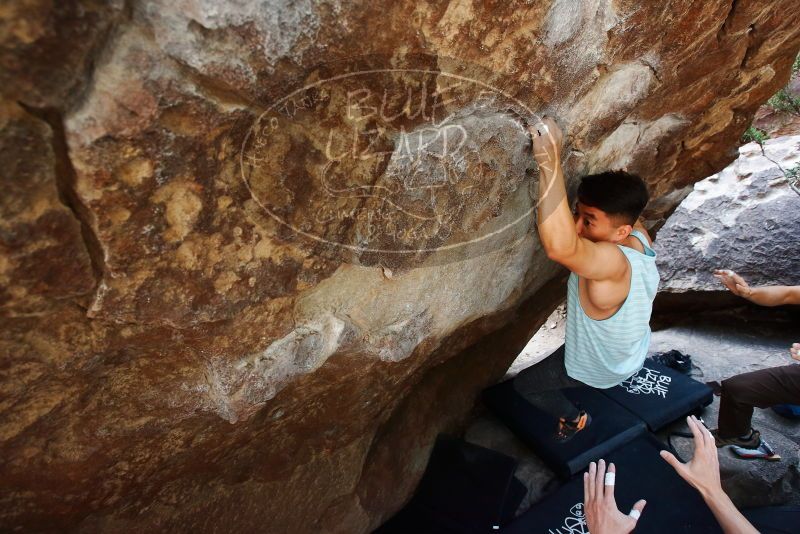 

Filename: SRM_20191110_1341150.jpg
Aperture: f/4.5
Shutter Speed: 1/250
Body: Canon EOS-1D Mark II
Lens: Canon EF 16-35mm f/2.8 L