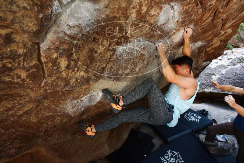 

Filename: SRM_20191110_1341210.jpg
Aperture: f/4.5
Shutter Speed: 1/250
Body: Canon EOS-1D Mark II
Lens: Canon EF 16-35mm f/2.8 L