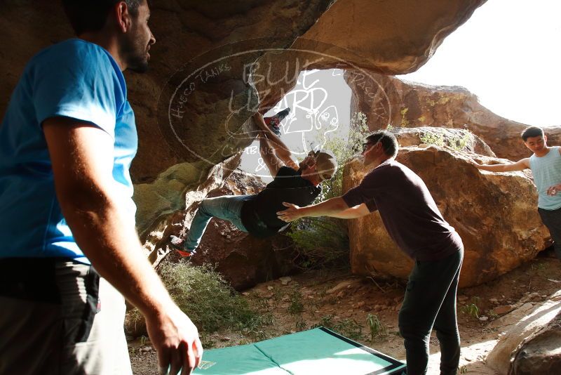 

Filename: SRM_20191110_1447370.jpg
Aperture: f/5.6
Shutter Speed: 1/500
Body: Canon EOS-1D Mark II
Lens: Canon EF 16-35mm f/2.8 L