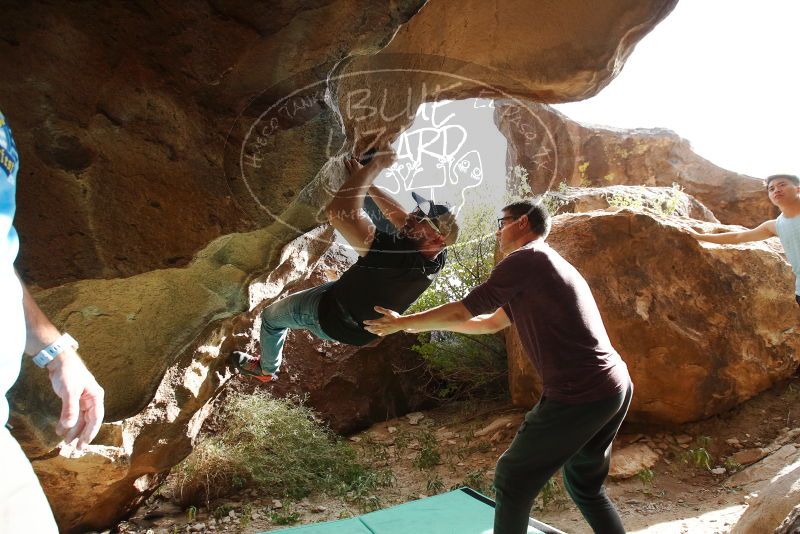 

Filename: SRM_20191110_1447410.jpg
Aperture: f/5.6
Shutter Speed: 1/400
Body: Canon EOS-1D Mark II
Lens: Canon EF 16-35mm f/2.8 L