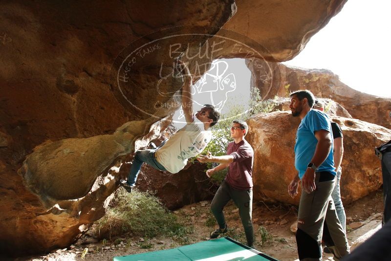 

Filename: SRM_20191110_1448550.jpg
Aperture: f/5.6
Shutter Speed: 1/400
Body: Canon EOS-1D Mark II
Lens: Canon EF 16-35mm f/2.8 L