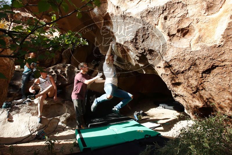 

Filename: SRM_20191110_1459080.jpg
Aperture: f/8.0
Shutter Speed: 1/400
Body: Canon EOS-1D Mark II
Lens: Canon EF 16-35mm f/2.8 L