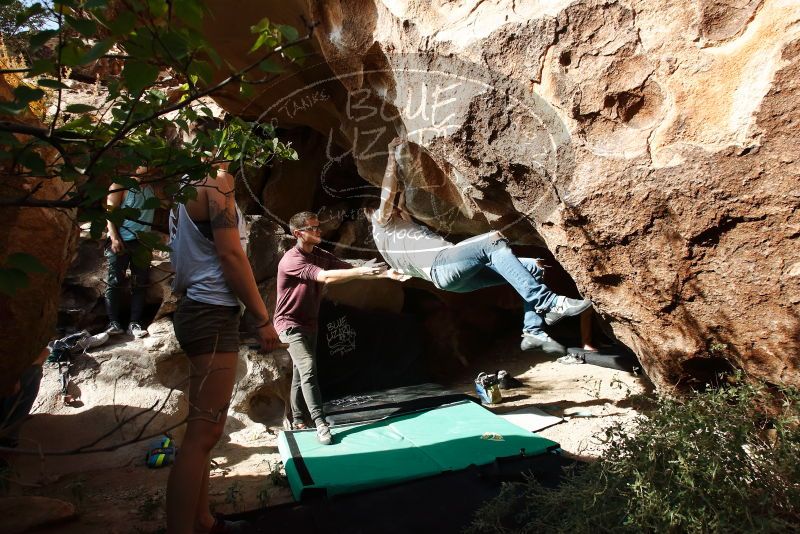 

Filename: SRM_20191110_1500260.jpg
Aperture: f/8.0
Shutter Speed: 1/400
Body: Canon EOS-1D Mark II
Lens: Canon EF 16-35mm f/2.8 L