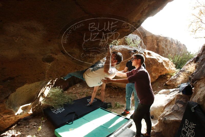 

Filename: SRM_20191110_1504520.jpg
Aperture: f/5.0
Shutter Speed: 1/800
Body: Canon EOS-1D Mark II
Lens: Canon EF 16-35mm f/2.8 L