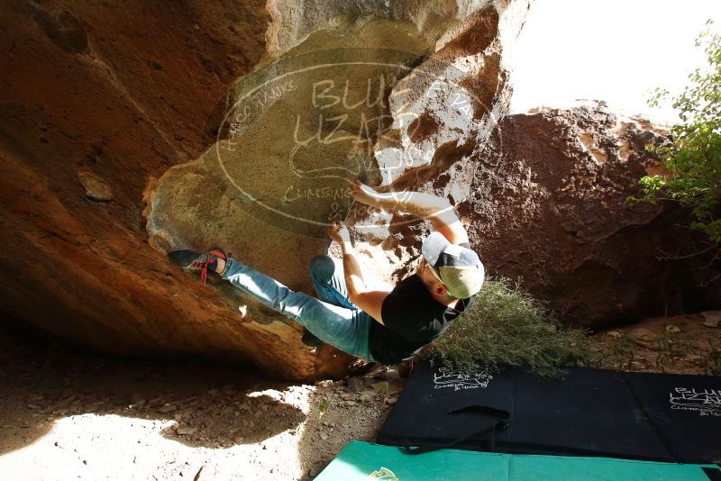 

Filename: SRM_20191110_1506160.jpg
Aperture: f/5.6
Shutter Speed: 1/640
Body: Canon EOS-1D Mark II
Lens: Canon EF 16-35mm f/2.8 L