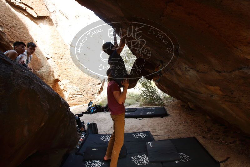 

Filename: SRM_20191110_1510460.jpg
Aperture: f/5.6
Shutter Speed: 1/160
Body: Canon EOS-1D Mark II
Lens: Canon EF 16-35mm f/2.8 L