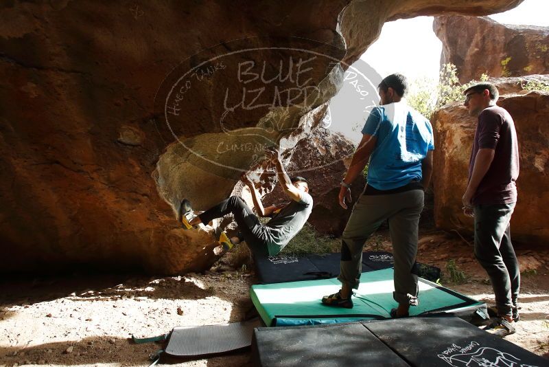 

Filename: SRM_20191110_1512340.jpg
Aperture: f/5.6
Shutter Speed: 1/400
Body: Canon EOS-1D Mark II
Lens: Canon EF 16-35mm f/2.8 L