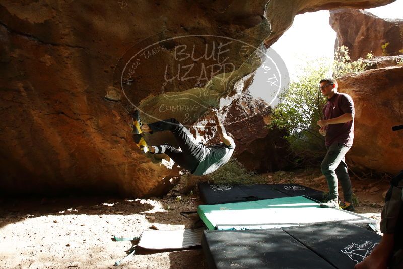 

Filename: SRM_20191110_1516410.jpg
Aperture: f/5.6
Shutter Speed: 1/500
Body: Canon EOS-1D Mark II
Lens: Canon EF 16-35mm f/2.8 L