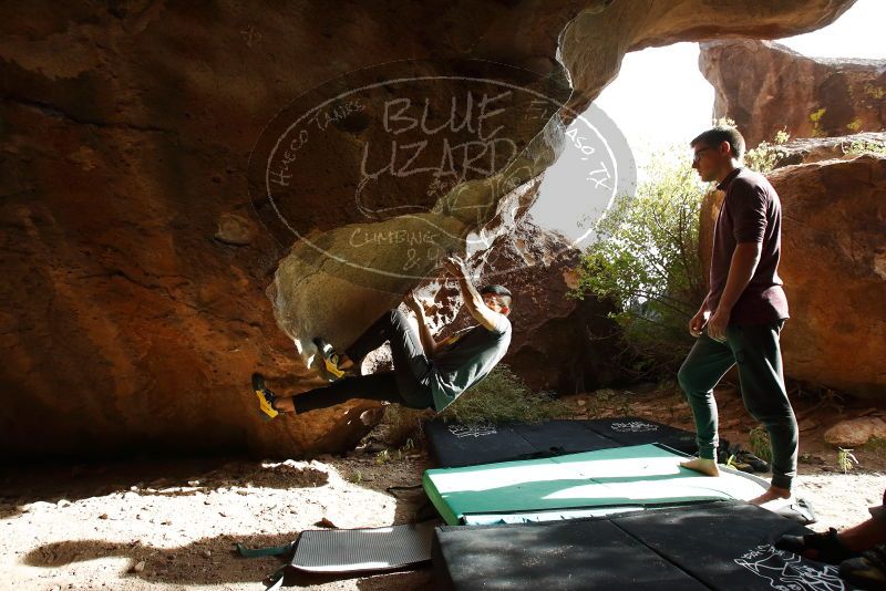 

Filename: SRM_20191110_1519481.jpg
Aperture: f/5.6
Shutter Speed: 1/500
Body: Canon EOS-1D Mark II
Lens: Canon EF 16-35mm f/2.8 L