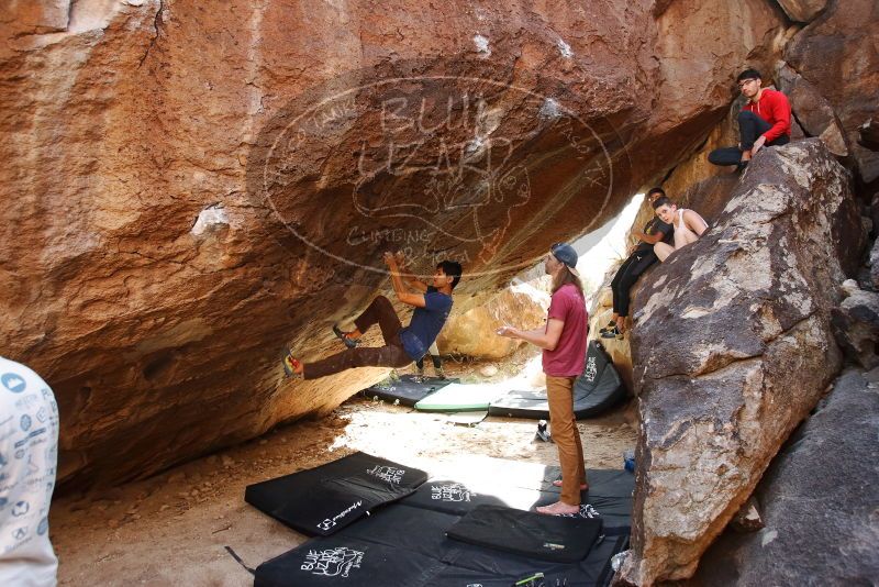 

Filename: SRM_20191110_1526230.jpg
Aperture: f/4.0
Shutter Speed: 1/250
Body: Canon EOS-1D Mark II
Lens: Canon EF 16-35mm f/2.8 L