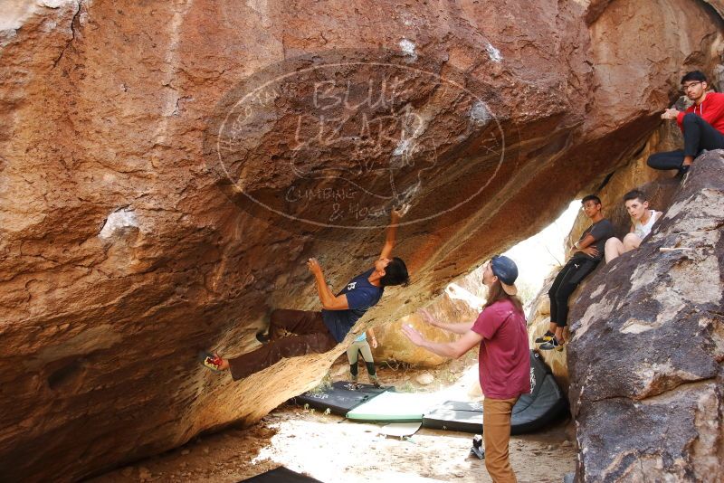 

Filename: SRM_20191110_1526240.jpg
Aperture: f/4.0
Shutter Speed: 1/250
Body: Canon EOS-1D Mark II
Lens: Canon EF 16-35mm f/2.8 L