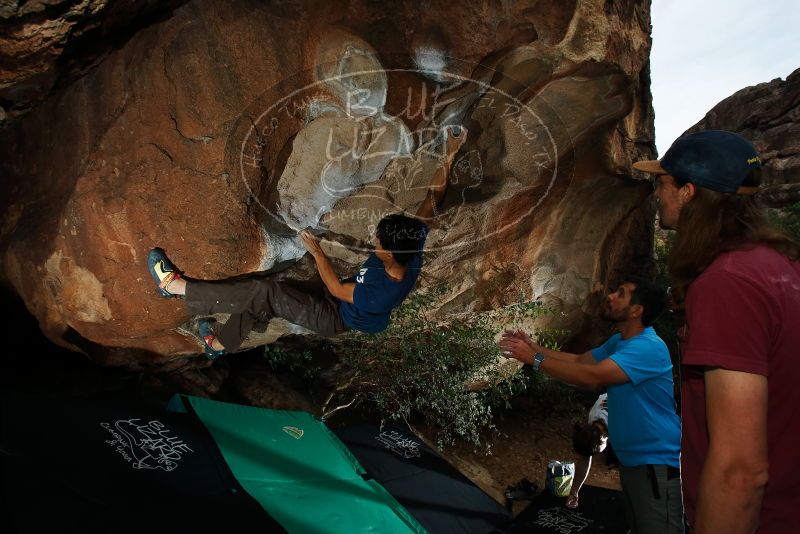 

Filename: SRM_20191110_1614190.jpg
Aperture: f/8.0
Shutter Speed: 1/250
Body: Canon EOS-1D Mark II
Lens: Canon EF 16-35mm f/2.8 L