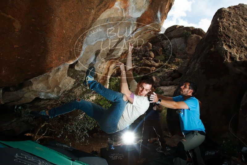 

Filename: SRM_20191110_1627280.jpg
Aperture: f/8.0
Shutter Speed: 1/250
Body: Canon EOS-1D Mark II
Lens: Canon EF 16-35mm f/2.8 L