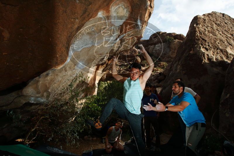 

Filename: SRM_20191110_1629490.jpg
Aperture: f/8.0
Shutter Speed: 1/250
Body: Canon EOS-1D Mark II
Lens: Canon EF 16-35mm f/2.8 L