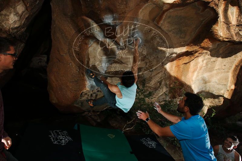 

Filename: SRM_20191110_1636020.jpg
Aperture: f/8.0
Shutter Speed: 1/250
Body: Canon EOS-1D Mark II
Lens: Canon EF 16-35mm f/2.8 L