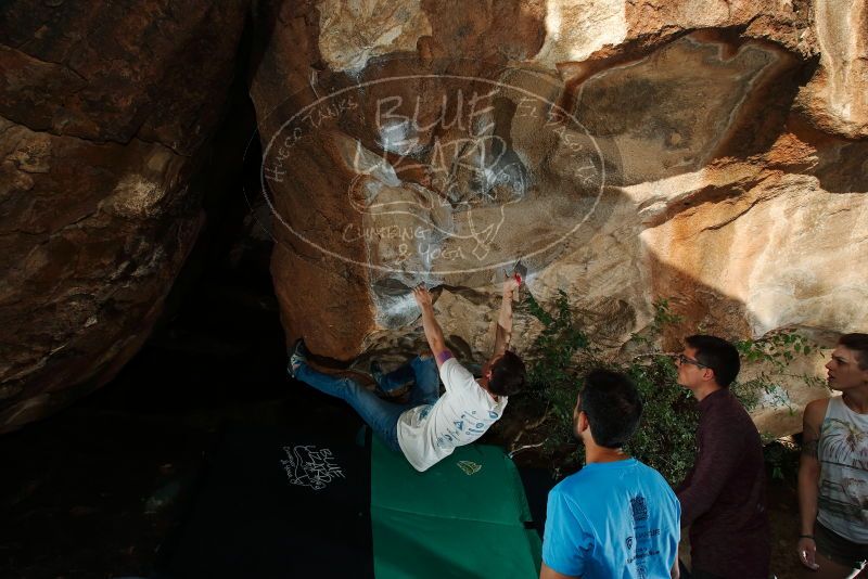 

Filename: SRM_20191110_1638370.jpg
Aperture: f/8.0
Shutter Speed: 1/250
Body: Canon EOS-1D Mark II
Lens: Canon EF 16-35mm f/2.8 L