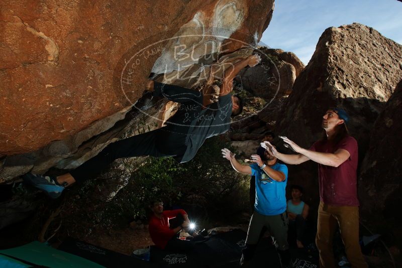 

Filename: SRM_20191110_1646540.jpg
Aperture: f/8.0
Shutter Speed: 1/250
Body: Canon EOS-1D Mark II
Lens: Canon EF 16-35mm f/2.8 L