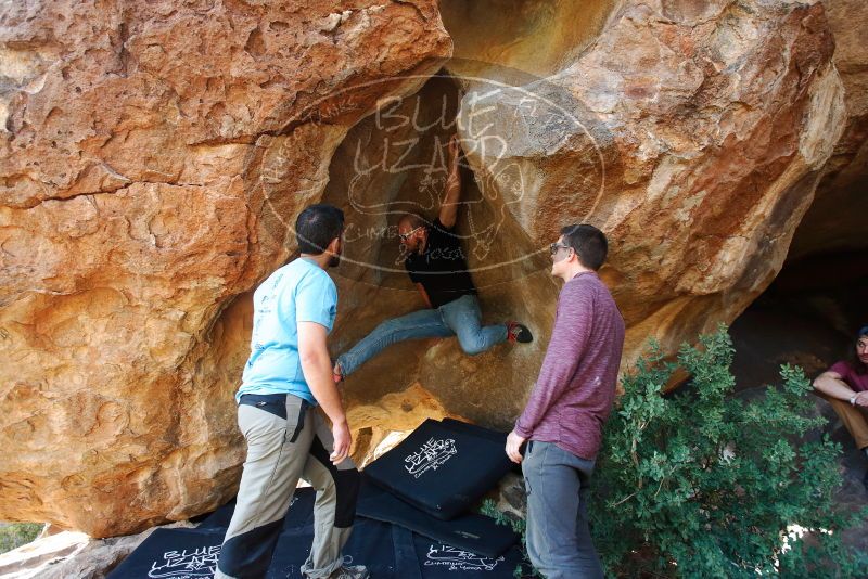 

Filename: SRM_20191110_1721580.jpg
Aperture: f/4.0
Shutter Speed: 1/250
Body: Canon EOS-1D Mark II
Lens: Canon EF 16-35mm f/2.8 L