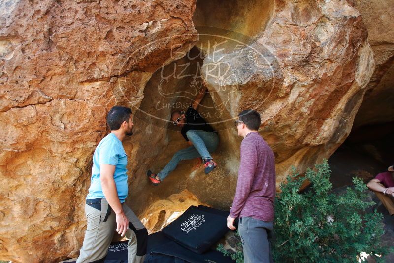 

Filename: SRM_20191110_1722050.jpg
Aperture: f/4.0
Shutter Speed: 1/250
Body: Canon EOS-1D Mark II
Lens: Canon EF 16-35mm f/2.8 L