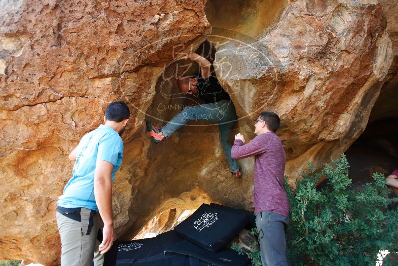 

Filename: SRM_20191110_1722200.jpg
Aperture: f/4.0
Shutter Speed: 1/250
Body: Canon EOS-1D Mark II
Lens: Canon EF 16-35mm f/2.8 L