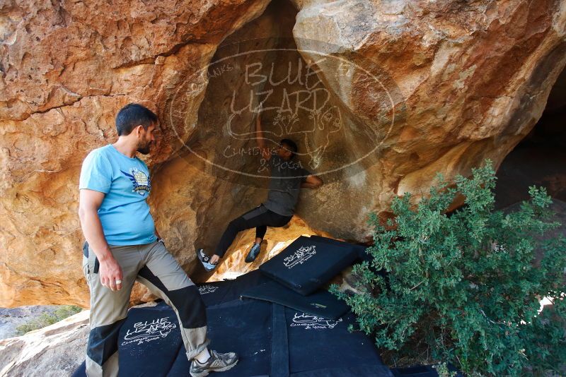 

Filename: SRM_20191110_1725400.jpg
Aperture: f/4.0
Shutter Speed: 1/250
Body: Canon EOS-1D Mark II
Lens: Canon EF 16-35mm f/2.8 L