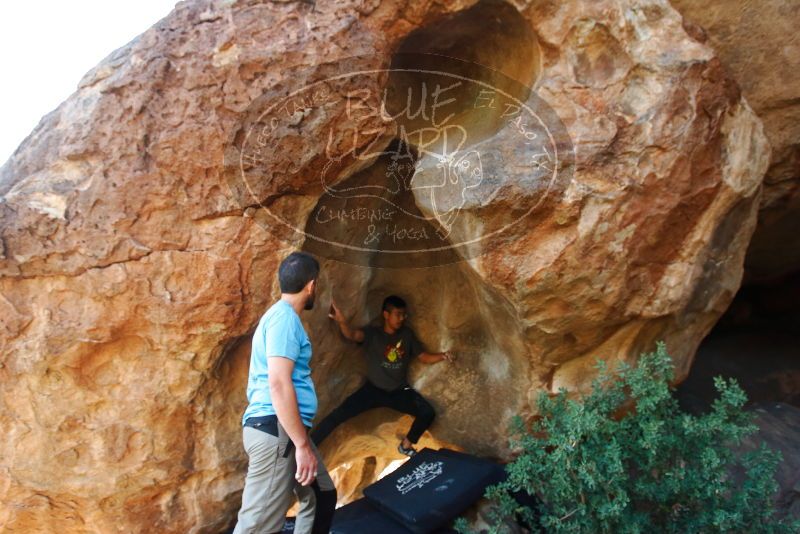 

Filename: SRM_20191110_1726120.jpg
Aperture: f/4.0
Shutter Speed: 1/250
Body: Canon EOS-1D Mark II
Lens: Canon EF 16-35mm f/2.8 L