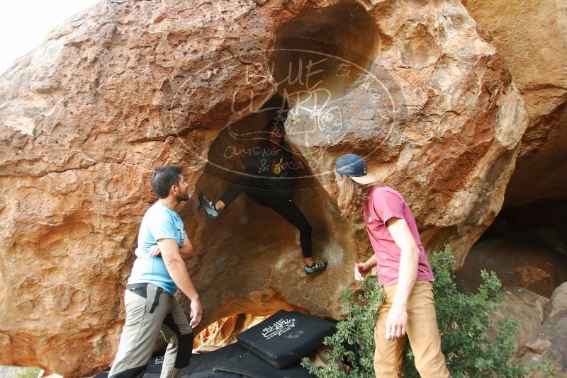 

Filename: SRM_20191110_1729210.jpg
Aperture: f/2.8
Shutter Speed: 1/250
Body: Canon EOS-1D Mark II
Lens: Canon EF 16-35mm f/2.8 L