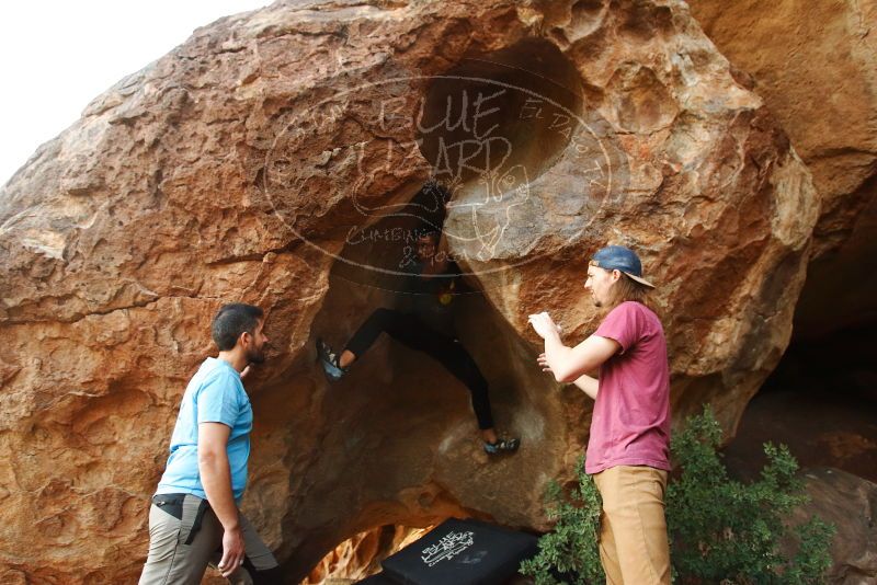 

Filename: SRM_20191110_1729350.jpg
Aperture: f/3.5
Shutter Speed: 1/250
Body: Canon EOS-1D Mark II
Lens: Canon EF 16-35mm f/2.8 L