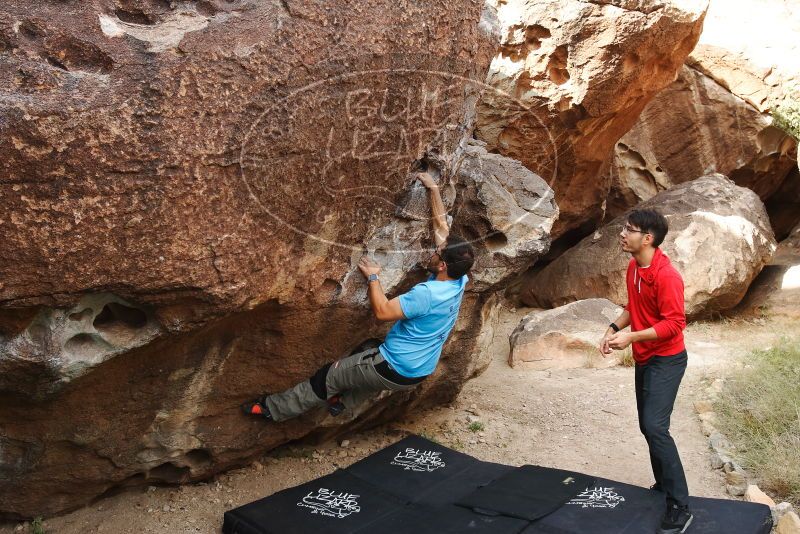 Bouldering in Hueco Tanks on 11/10/2019 with Blue Lizard Climbing and Yoga
Filename: SRM_20191110_1049060.jpg
Aperture: f/5.6
Shutter Speed: 1/250
Body: Canon EOS-1D Mark II
Lens: Canon EF 16-35mm f/2.8 L