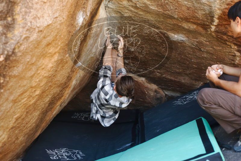 Bouldering in Hueco Tanks on 11/10/2019 with Blue Lizard Climbing and Yoga
Filename: SRM_20191110_1139420.jpg
Aperture: f/3.2
Shutter Speed: 1/250
Body: Canon EOS-1D Mark II
Lens: Canon EF 50mm f/1.8 II