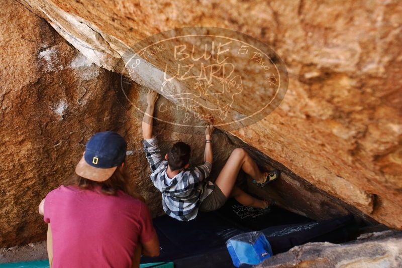 Bouldering in Hueco Tanks on 11/10/2019 with Blue Lizard Climbing and Yoga

Filename: SRM_20191110_1151590.jpg
Aperture: f/4.0
Shutter Speed: 1/400
Body: Canon EOS-1D Mark II
Lens: Canon EF 16-35mm f/2.8 L