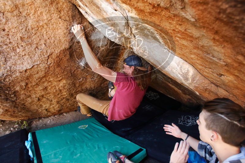 Bouldering in Hueco Tanks on 11/10/2019 with Blue Lizard Climbing and Yoga

Filename: SRM_20191110_1152580.jpg
Aperture: f/4.0
Shutter Speed: 1/250
Body: Canon EOS-1D Mark II
Lens: Canon EF 16-35mm f/2.8 L
