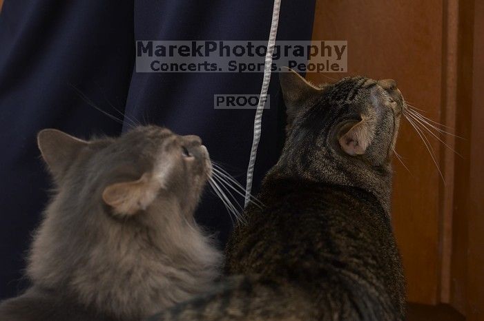 1020409145

Filename: SRM_20051223_225030_0.jpg
Aperture: f/5.0
Shutter Speed: 1/250
Body: Canon EOS 20D
Lens: Canon EF 80-200mm f/2.8 L