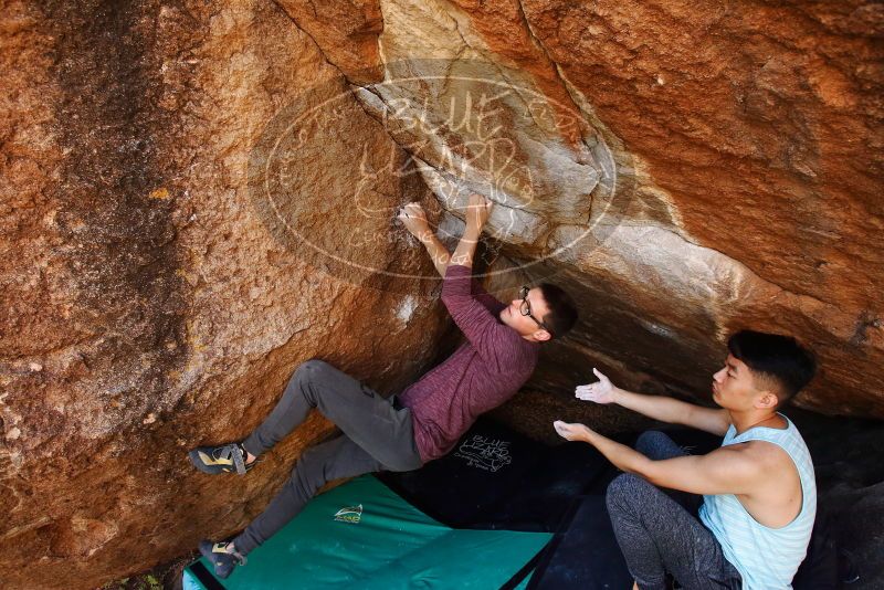 Bouldering in Hueco Tanks on 11/10/2019 with Blue Lizard Climbing and Yoga
Filename: SRM_20191110_1222250.jpg
Aperture: f/5.6
Shutter Speed: 1/250
Body: Canon EOS-1D Mark II
Lens: Canon EF 16-35mm f/2.8 L