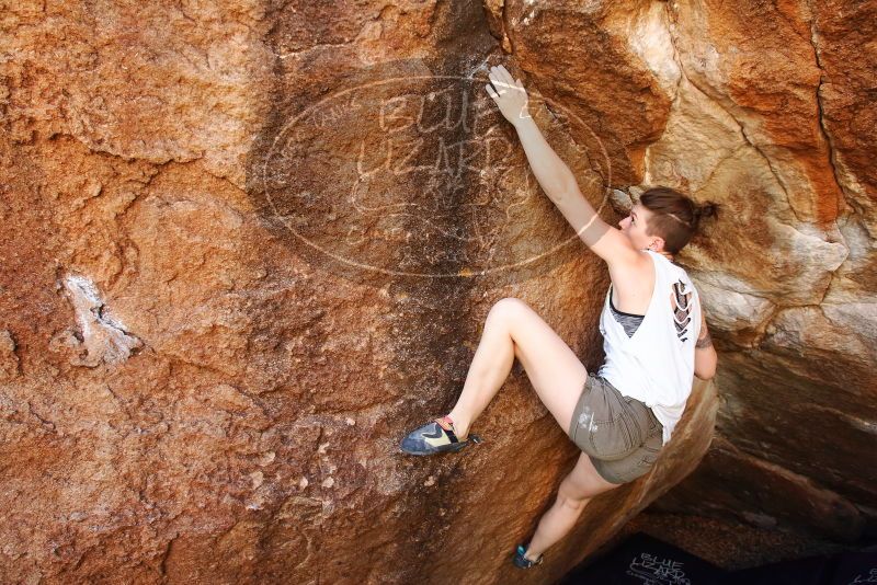 Bouldering in Hueco Tanks on 11/10/2019 with Blue Lizard Climbing and Yoga
Filename: SRM_20191110_1246000.jpg
Aperture: f/5.6
Shutter Speed: 1/250
Body: Canon EOS-1D Mark II
Lens: Canon EF 16-35mm f/2.8 L
