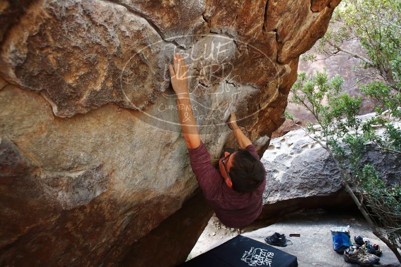 Bouldering in Hueco Tanks on 11/10/2019 with Blue Lizard Climbing and Yoga

Filename: SRM_20191110_1335330.jpg
Aperture: f/4.5
Shutter Speed: 1/250
Body: Canon EOS-1D Mark II
Lens: Canon EF 16-35mm f/2.8 L