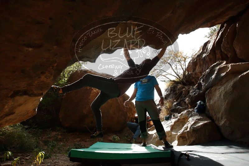 Bouldering in Hueco Tanks on 11/10/2019 with Blue Lizard Climbing and Yoga
Filename: SRM_20191110_1437530.jpg
Aperture: f/5.6
Shutter Speed: 1/1000
Body: Canon EOS-1D Mark II
Lens: Canon EF 16-35mm f/2.8 L