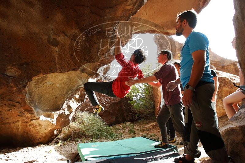 Bouldering in Hueco Tanks on 11/10/2019 with Blue Lizard Climbing and Yoga

Filename: SRM_20191110_1444500.jpg
Aperture: f/5.6
Shutter Speed: 1/250
Body: Canon EOS-1D Mark II
Lens: Canon EF 16-35mm f/2.8 L
