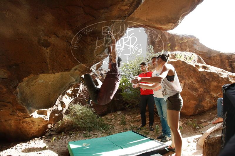 Bouldering in Hueco Tanks on 11/10/2019 with Blue Lizard Climbing and Yoga

Filename: SRM_20191110_1453470.jpg
Aperture: f/4.0
Shutter Speed: 1/1600
Body: Canon EOS-1D Mark II
Lens: Canon EF 16-35mm f/2.8 L