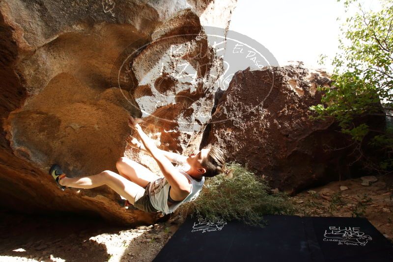 Bouldering in Hueco Tanks on 11/10/2019 with Blue Lizard Climbing and Yoga
Filename: SRM_20191110_1456000.jpg
Aperture: f/8.0
Shutter Speed: 1/400
Body: Canon EOS-1D Mark II
Lens: Canon EF 16-35mm f/2.8 L