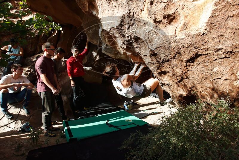 Bouldering in Hueco Tanks on 11/10/2019 with Blue Lizard Climbing and Yoga
Filename: SRM_20191110_1458360.jpg
Aperture: f/8.0
Shutter Speed: 1/400
Body: Canon EOS-1D Mark II
Lens: Canon EF 16-35mm f/2.8 L