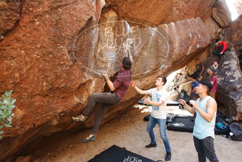 Bouldering in Hueco Tanks on 11/10/2019 with Blue Lizard Climbing and Yoga

Filename: SRM_20191110_1525390.jpg
Aperture: f/4.0
Shutter Speed: 1/250
Body: Canon EOS-1D Mark II
Lens: Canon EF 16-35mm f/2.8 L